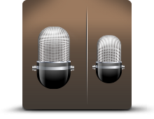 Dual Microphones