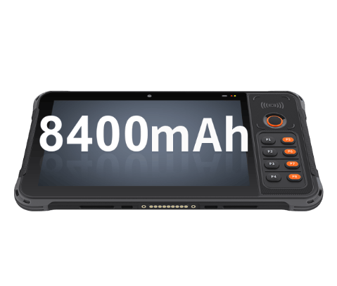 Replaceable large capacity battery