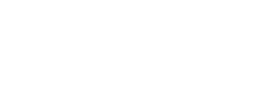 Newton DUAL